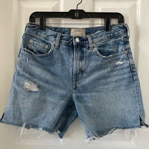 Everlane The Denim Short